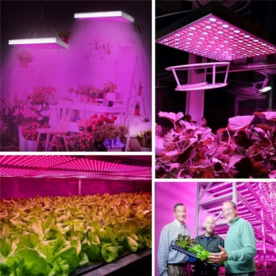 YWXLigh Full Spectrum Panel LED Grow Light for Indoor Plants Flower Hydro Garden