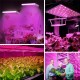 YWXLigh Full Spectrum Panel LED Grow Light for Indoor Plants Flower Hydro Garden